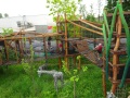 DSC00737