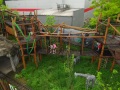 DSC00738