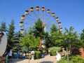 IMG-20260620-WA0030
