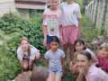 IMG-20260801-WA0016