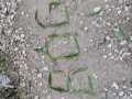 IMG-20260801-WA0024