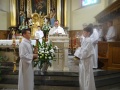 DSC00550